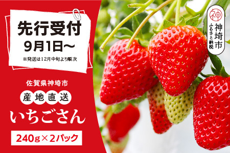 yst ߘa7N12{蔭zy_ƒz240g×2pbNyꌧY Y lC   XC[c ʕ uhz(H124101)