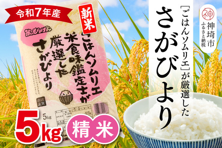 yߘa7NY Vāz͂\GI  т 5kgy_sY     5kg т uh HӒmz(H063144)