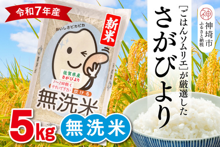 yߘa7NY Vāz͂\GI  т 5kgy_sY      5kg т uh HӒmz(H063146)