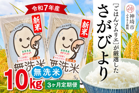 yߘa7NY V 3ցz͂\GI  т 10kgy_sY     10kg 5kg×2 3 т uh HӒmz(H063149)