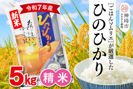 yߘa7NY Vāz͂\GI  Ђ̂Ђ 5kgy_sY     5kg Ђ̂Ђ uh HӒmz(H063150)