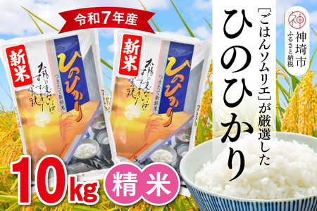 yߘa7NY Vāz͂\GI  Ђ̂Ђ 10kgy_sY V     10kg 5kg×2 Ђ̂Ђ uh HӒmz(H063151)