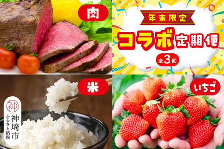 �y�N������z�_��s�l�C�ԗ�i�R���{�����(���E�āE������)�y3�����ցz�y���ꋍ ���� �� ���� ���ꌧ�Y ��A��ܕ� 5kg×2�� �u�����h�� �l�C �C�`�S � �����ق̂��t���[�c �ʕ��z(H996P120)