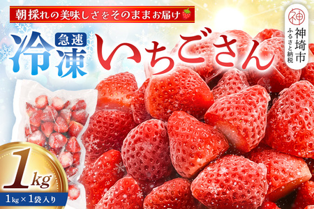 冷凍いちご 1kg(いちごさん)(H126101)