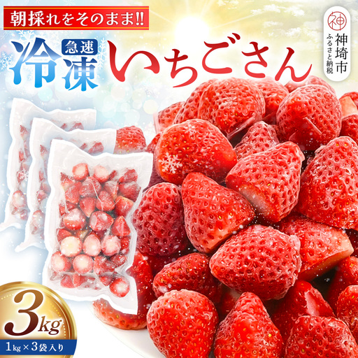 冷凍いちご 3kg（いちごさん)(H126103)