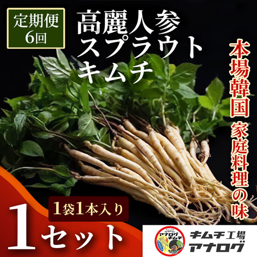 【6カ月定期便】熟成秘伝の高麗人参スプラウトキムチ(1本入り×1袋)(H104184)