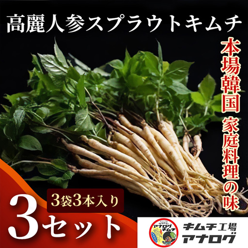 熟成秘伝の高麗人参スプラウトキムチ(1本入り×9袋)(H104192)