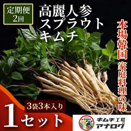【2カ月定期便】熟成秘伝の高麗人参スプラウトキムチ(1本入り×3袋)(H104193)