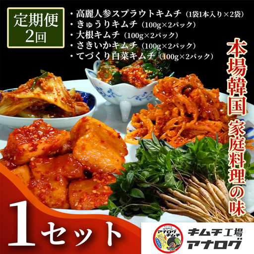 [2カ月定期便]5種の本格キムチ食べ比べ 4種のキムチ(各100g×2パック)+スプラウトキムチ(1本入り×2袋)(H104267)