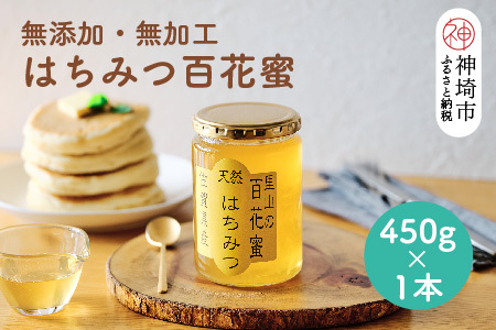 ふるさと納税 はちみつ屋さんの健康食品『ビ蜂』(500ml)【有限会社ビ庵