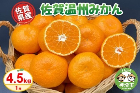 【令和6年11月より発送】佐賀温州みかん(1箱 4.5kg)【フルーツ 佐賀 佐賀県産 早生みかん 温州みかん ギフト 贈答 プレゼント】 (H072107)