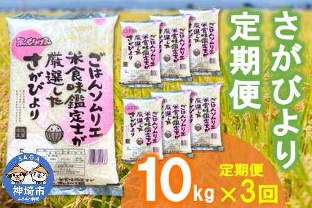 【米 定期便3回】ごはんソムリエが厳選 さがびより10kg【米 お米 精米 白米 10kg 5kg ×2袋 さがびより ブランド米】 (H063107)