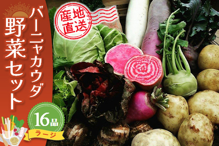 バーニャカウダ野菜セットラージ 16品 [有機野菜 おまかせ野菜セット イタリア野菜 西洋野菜](H078121)