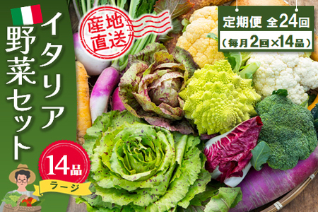 年間定期便24回 イタリア野菜セットラージ 14品 【有機野菜 おまかせ野菜セット イタリア野菜 西洋野菜 定期便】(H078135)