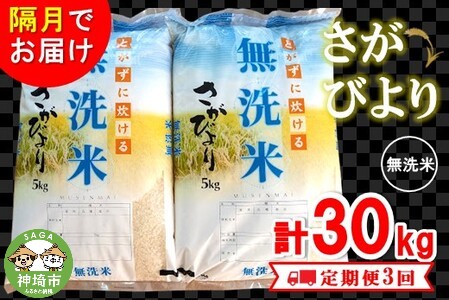 2月発送】令和5年産 さがびより 無洗米 5kg×2 【ふるさと納税 国産