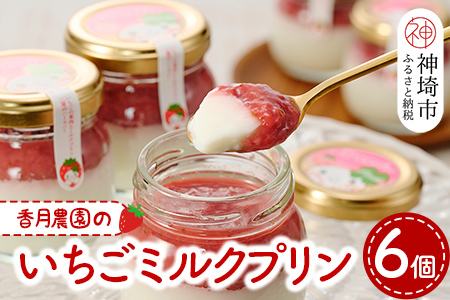 いちごミルクプリン6個セット[佐賀県産 さがほのか シャーベット プリン県 冷凍 果肉ソース] (H017113)