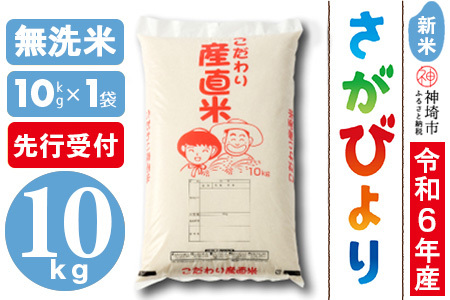 [令年6年産 新米先行受付]さがびより無洗米 10kg [米 10kg お米 コメ おいしい ランキング 人気 国産 ブランド 地元農家](H061249)