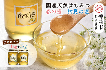 2025年産【春&初夏の蜜セット】国産天然蜂蜜 春の蜜1kg&初夏の蜜1kg(H049121)