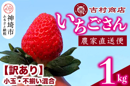 [令和7年1月中旬より順次発送][訳あり]いちごさん 約1kg (小玉不揃い混合)[訳あり いちご イチゴ 苺 佐賀県 甘い フルーツ 果物 国産 お祝い 贈り物] (H098108)