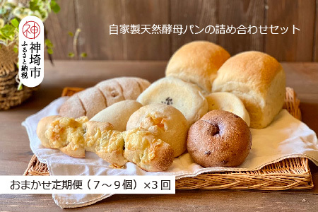[定期便3回]自家製天然酵母パンの詰め合わせセット[パンと器のコネル](H094117)