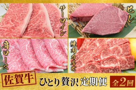 [2回定期便] 佐賀牛 ひとりで贅沢 お楽しみ便 (合計1.15kg)(H085148)
