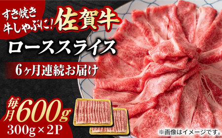 yS6ցzI  ꋍ [XXCX 600gi300g×2Pj g샖[FDB055]