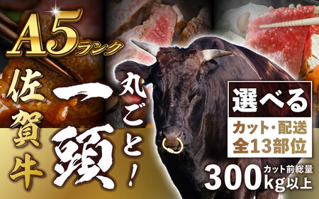 [一頭丸ごとオーダー!] A5 佐賀牛 一頭食べ尽くしセット 黒毛和牛 オーダーカット 吉野ヶ里町/株式会社MEAT PLUS