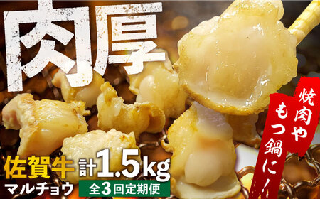 [全3回定期便] [脂が甘くてぷりっぷり!]佐賀牛ホルモン 焼肉用 小腸 計1.5kg(250g/袋)味付けなし 吉野ヶ里町/やきとり紋次郎