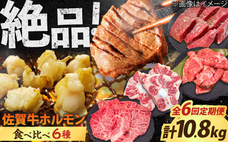 yS6ցzꋍ6HהׁI zoGeBZbg 10.8kg 4-5lO  ^EȂ g샖/₫Ƃ䎟Y[FCJ105]