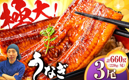 Y 傤Ȃ v660gi220g×3jg샖/ЃtW}L Ȃ EiM [FDM003]