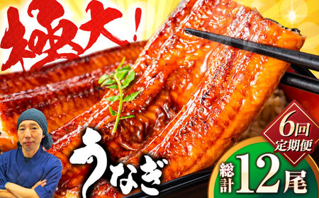 yS6ցzY 傤Ȃ v440gi220g×2jg샖/ЃtW}L Ȃ EiM [FDM015]