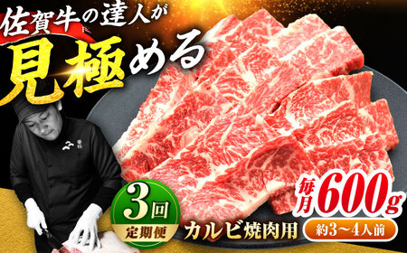 3回定期便 佐賀牛 カルビ 600g 黒毛和牛 牛肉 