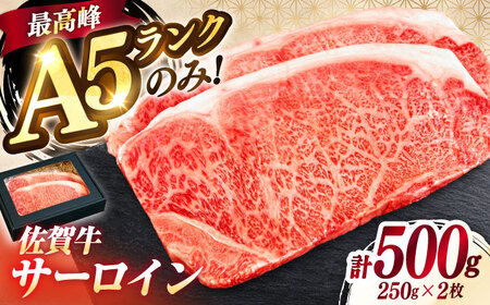 ɏ ꋍ Ԑg A5 T[C Xe[L 250g × 2 T[CXe[L [XXe[L g샖/KRAZY MEAT[FDR002]