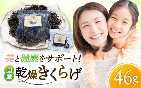 炰 46g 炰 LNQ[FDS002]