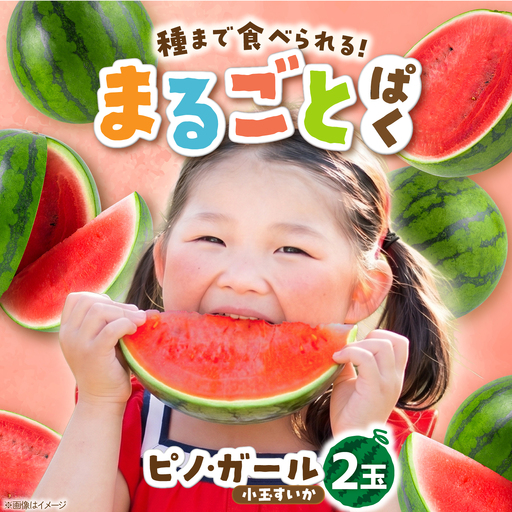 【先行予約・数量限定】スイカ ピノガール 2玉 吉野ヶ里町 / MEISHO FARM[FDZ009]