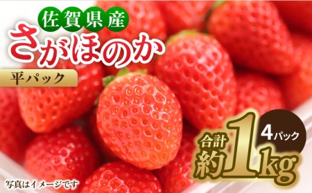 y1{`3{z݂݂ʓIق̂pbN4P 1kg  ꌧY ꌧ C`S pbN g샖/GT[N [FCC002]