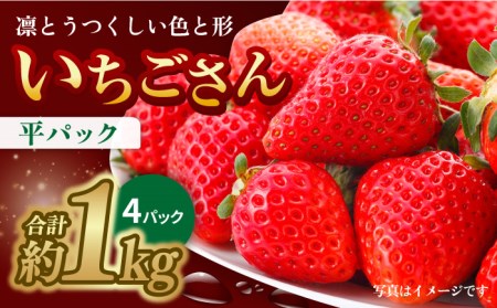 y1{`2{z₳킢I pbN×4P 1kg  C`S ꌧY ꌧ  pbN g샖/GT[N [FCC003]