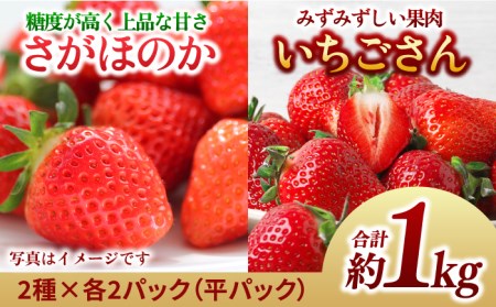 y1{`2{zꌧ2Iق̂ pbN4P 1kg  ʕ { C`S  t[c ꌧY Y  g샖/GT[N [FCC004]