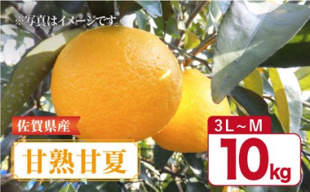 y4{`5{zꌧY ݂ ÖƂقǂ悢_́uÏnÉāv10kg g샖/GT[N  [FCC012]