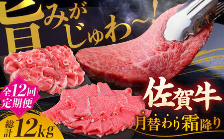 yS12ցz|݂` A4 A5 ꋍ ~ 12,000g v12kg g샖/~[gt[Y؏ [FAY024]