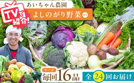 【16品 / 24回定期便】農薬に頼らない！カラダにやさしい「よしのがり野菜」セット（ラージ）【吉野ヶ里あいちゃん農園】 [FAA011]