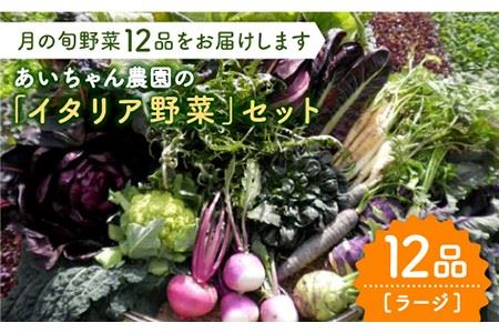 【12品】あいちゃん農園の「イタリア野菜」セット（ラージ）野菜 やさい サラダ キャベツ ブロッコリー かぶ きゅうり ナス 詰め合わせ 九州 佐賀県産 旬の野菜 有機農法 有機肥料 ギフト [FAA021]