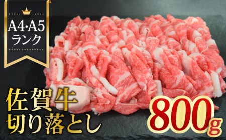 {w̍јa A4 A5 ꋍ؂藎Ƃ800gy~[gt[Y؏zꋍ  Y  uh [FAY057]