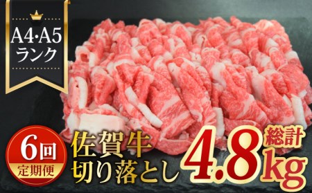 yS6ցzA4 A5 ꋍ؂藎Ƃ800g јa 肨Ƃ[FAY062]