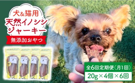 猪 犬の返礼品 検索結果 | ふるさと納税サイト「ふるなび」