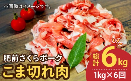 y6ցẑɕ֗Ɏg􁄔O|[N ܐ؂ 1kg (500g × 2pbN) ꌧY Yؓ   g샖/AX^rX^[FAM030]