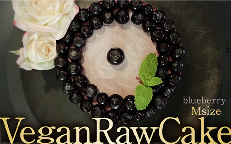 植物性100% Vegan Raw Cake Blueberry(ブルーベリー/Mサイズ)お砂糖・小麦粉・乳製品不使用のスイーツ ヴィーガンローケーキ 吉野ヶ里町/Dondonyokunaru 