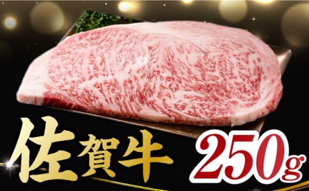 艶さし ! 佐賀牛 サーロインステーキ 250g (250g×1枚) 吉野ヶ里町 佐賀牛 牛肉 肉 サーロイン ステーキ 国産 ブランド牛 