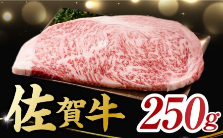 艶さし ！ 佐賀牛 サーロインステーキ 250g (250g×1枚) 吉野ヶ里町 佐賀牛 牛肉 肉 サーロイン ステーキ 国産 ブランド牛 [FDB009]