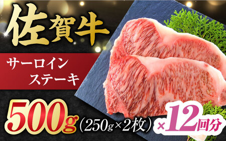 y12ցz I ꋍ T[CXe[L v6kg (250g×2×12) g샖 ꋍ   Y uh T[C Xe[L [FDB041]